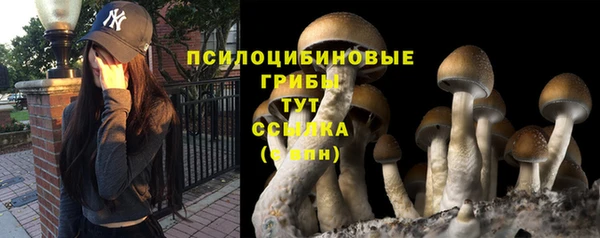 амфетамин Аркадак