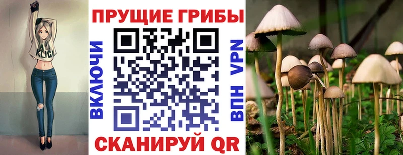 Псилоцибиновые грибы GOLDEN TEACHER  Купить где  Котлас 
